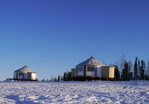 Northern Lights Lodge Viewing in Fairbanks
