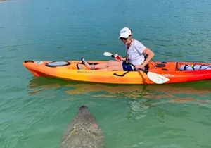 Sarasota Guided Mangrove Tunnel Kayak Tour