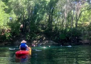 Wekiva River Guided Kayak Tour