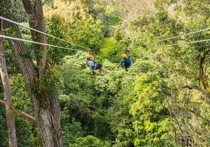 Big Island Kohala Zip and Dip Tour from Kona