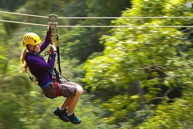 THE TOP 10 Hawaii Ziplines (w/Prices) | Cool Hawaii