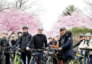 Washington DC Cherry Blossoms By Bike Tour