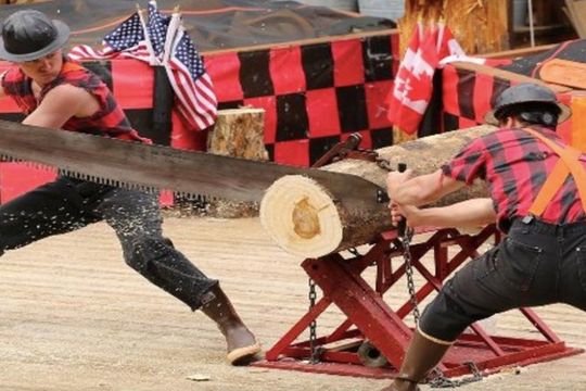 Shore Excursion Ketchikan: The Famous Lumberjack Show