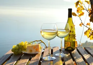 The Hamptons and Long Island Wineries Private Tour