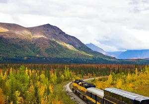 Alaska Railroad Anchorage to Denali One Way
