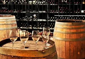 Private Loudoun County Wine Tour from DC with 3 Winery Stops
