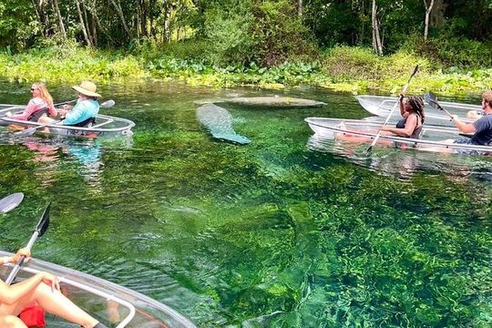 Glass Bottom Kayak Tours of Silver Springs