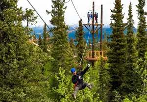 Denali Park Zipline Adventure