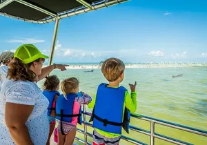 Marco Island Wildlife Sightseeing and Shelling Tour