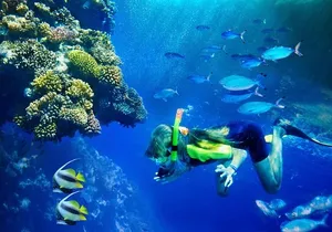 Lanai Snorkel and Dolphin Watch from Maalaea