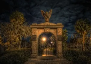 Savannah Beyond Good & Evil Tour