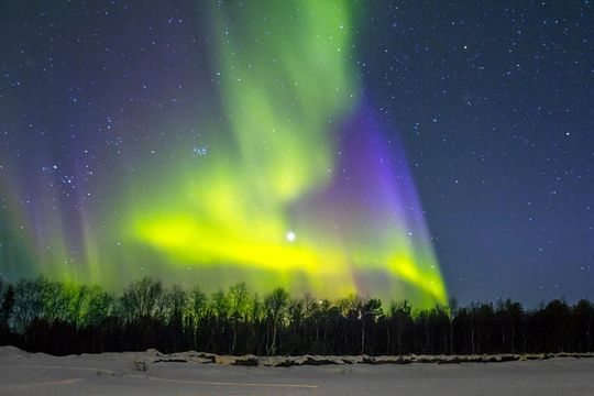 Northern Lights & Chena Hot Springs Tour