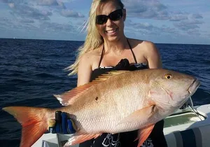 Miami Deep Sea Fishing Charters