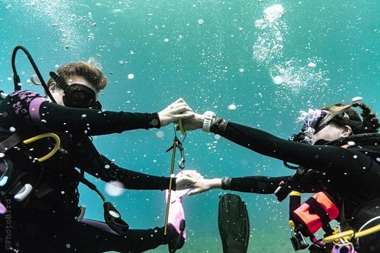 2 Tank Private SCUBA Party Diving Charter from Waikiki Hawaii