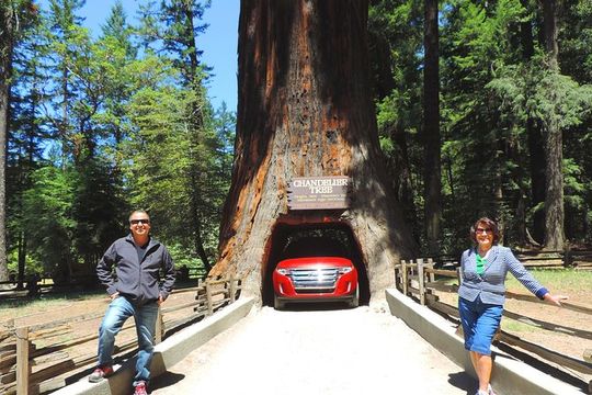Avenue of the Giants Redwoods private 2-day tour +1 night hotel