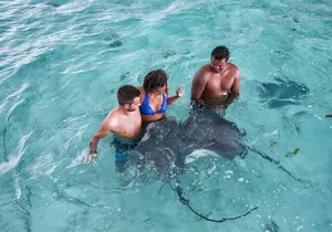 Bora Bora Eco Snorkel Cruise Including Snorkeling with Sharks and Stingrays
