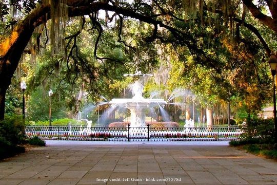 The Best of Savannah: Private Half-Day Walking Tour