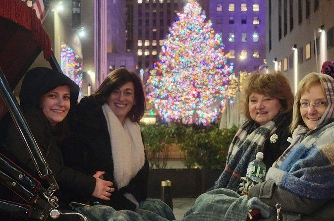 New York City Christmas Lights Private Horse Carriage Ride