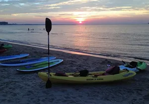 Sunset Dolphin Kayak Tours