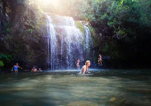 Kohala Waterfalls Small Group Adventure Tour