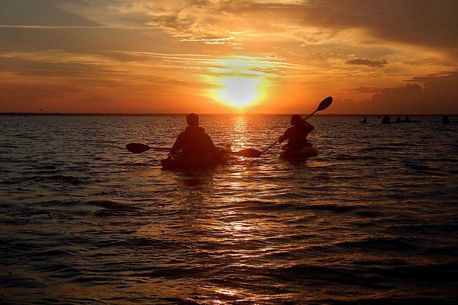 Sunset Bioluminescence Kayak Tour - Wildlife Refuge (Titusville)