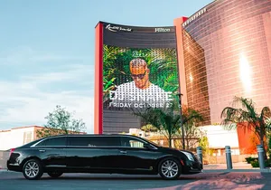 Arrival Transfer: Private Luxury 8 Passenger Limousine Service