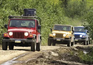 Ketchikan Jeep and Canoe Safari