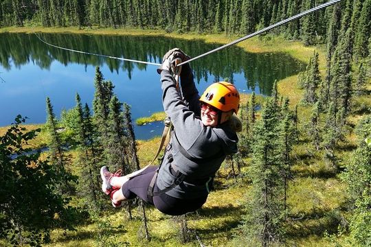 Denali Zipline Tour in Talkeetna, AK