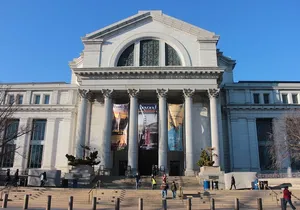 Smithsonian Natural History + American History - Exclusive Tour