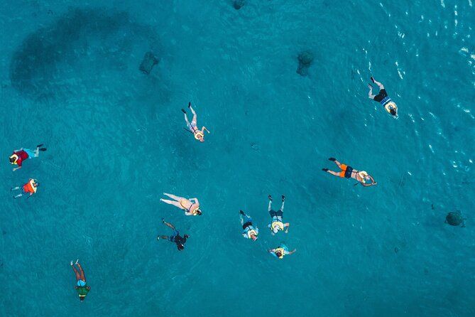 Waikiki: 2-hour Turtle Canyon Snorkeling Adventure