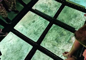 Key Largo Coral Reef Glass Bottom Boat Adventure