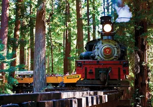 Redwood Forest, Santa Cruz Harbor 1-Day Trip from San Francisco