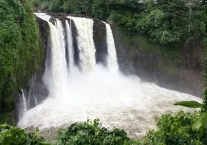 Hilo Highlights: Waterfall & Local Secrets on a Short Excursion