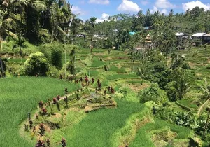 Balinese Life Style Tour