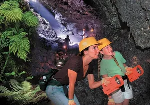 Small-Group Luxury Tour: Road to Hana and Ka'eleku Cavern Day Trip