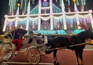New York City Christmas Lights Private Horse Carriage Ride