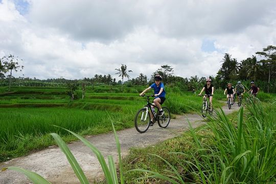 Kintamani Cultural and Nature Cycling Tour ( Manual Bike )