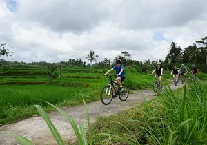 Kintamani Cultural and Nature Cycling Tour ( Manual Bike )
