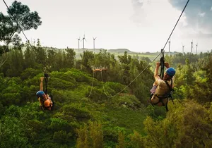 8-Line Zipline Adventure on Oahu's North Shore