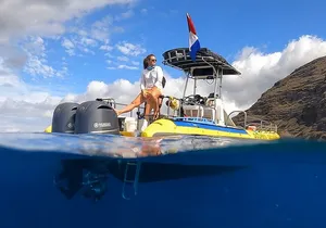 Wild Dolphin Watching and Snorkel Safari Off West Coast of Oahu