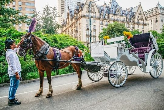 Private NYC Central Park Horse Carriage Ride (Guided) Since 1965™