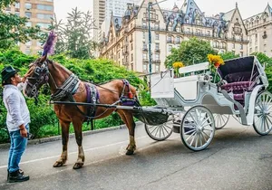 Private NYC Central Park Horse Carriage Ride (Guided) Since 1965™