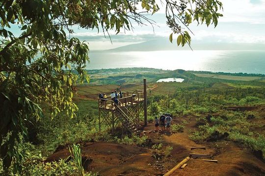Maui 8 line Zipline Adventure: Soar above valleys & Island views