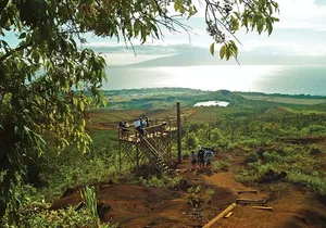 Maui 8 line Zipline Adventure: Soar above valleys & Island views