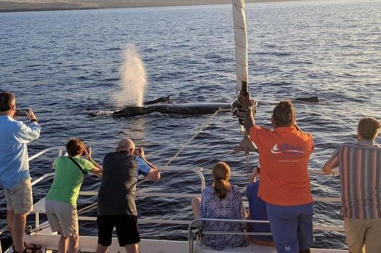 Sunset Cruise with the Whales from Anaeho'omalu Bay