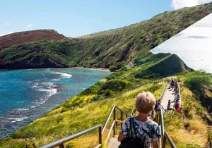 Oahu's Half-Day Tour Package