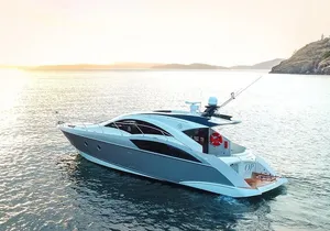 Private Luxury Whale Watch