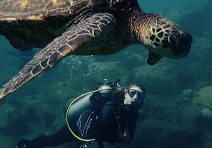 Kauai's Ultimate South Shore 2 Tank Dive (Certified Divers Only)