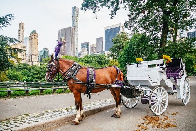 Official Private New York City Central Park Horse Carriage Ride Since 1965™