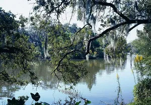 A Walk in the Park: City Park New Orleans Audio Tour